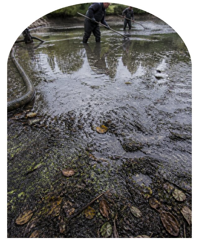 Очистка пруда в Нижнем Новгороде от ила мусора и водорослей с вывозом